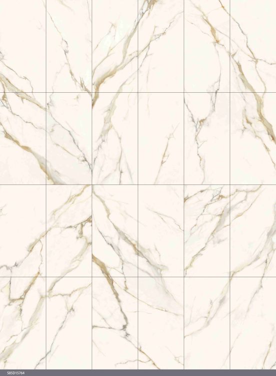 Time Dorado Matte 12 x 24